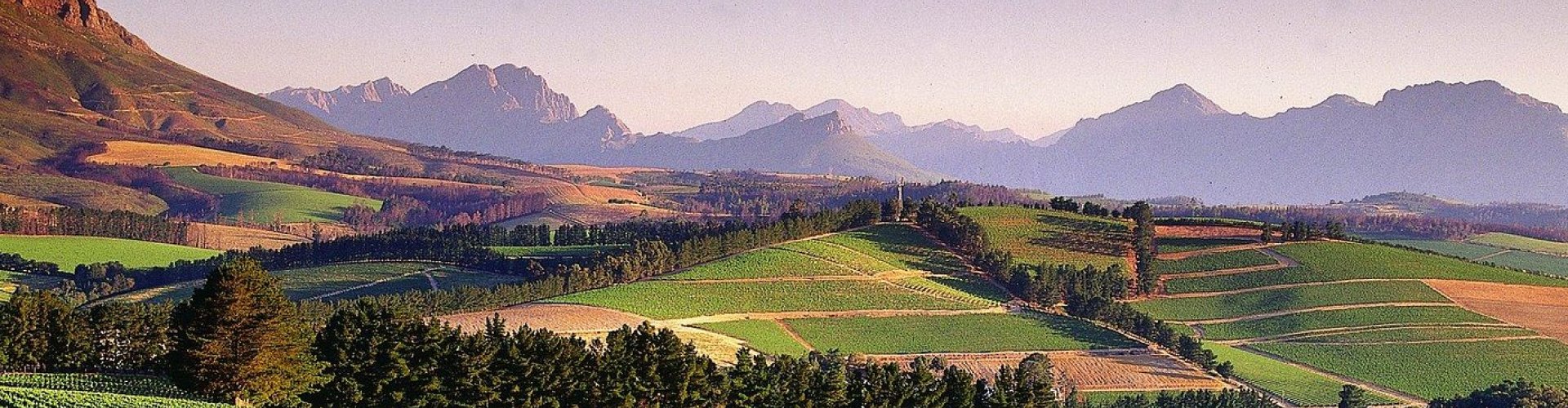 Stellenbosch, ZA