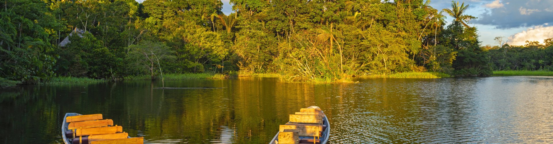 Manaus, BR cityscape