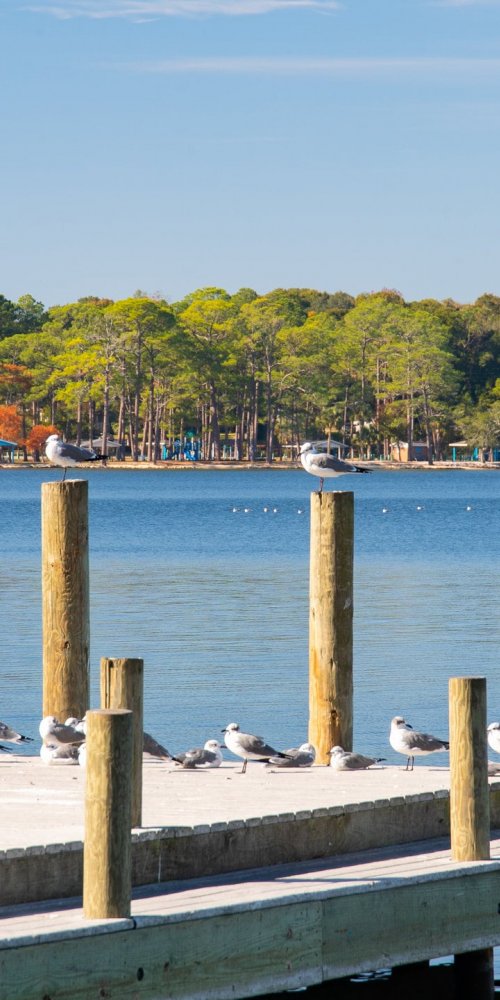 Niceville, FL, US transport