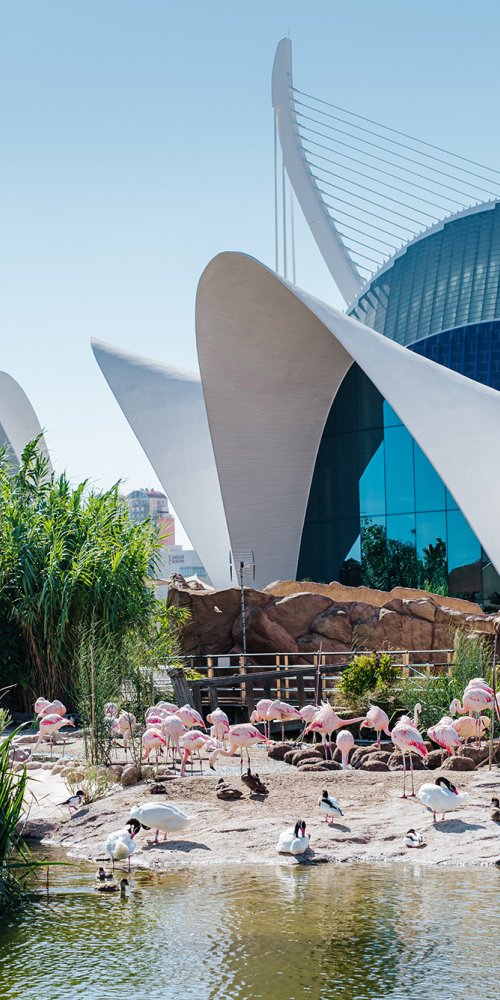 Valencia, ES transport