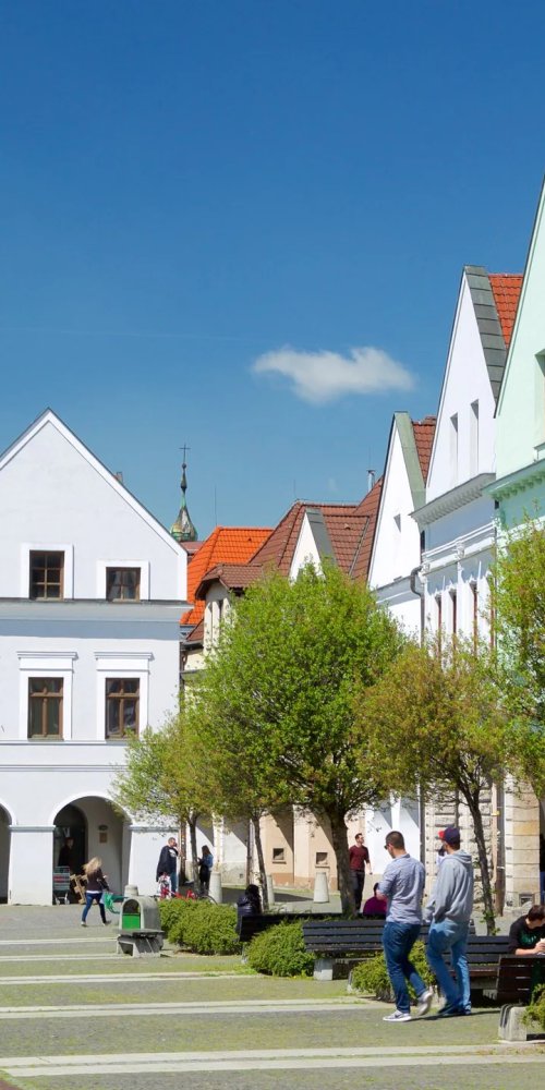 Žilina, SK transport