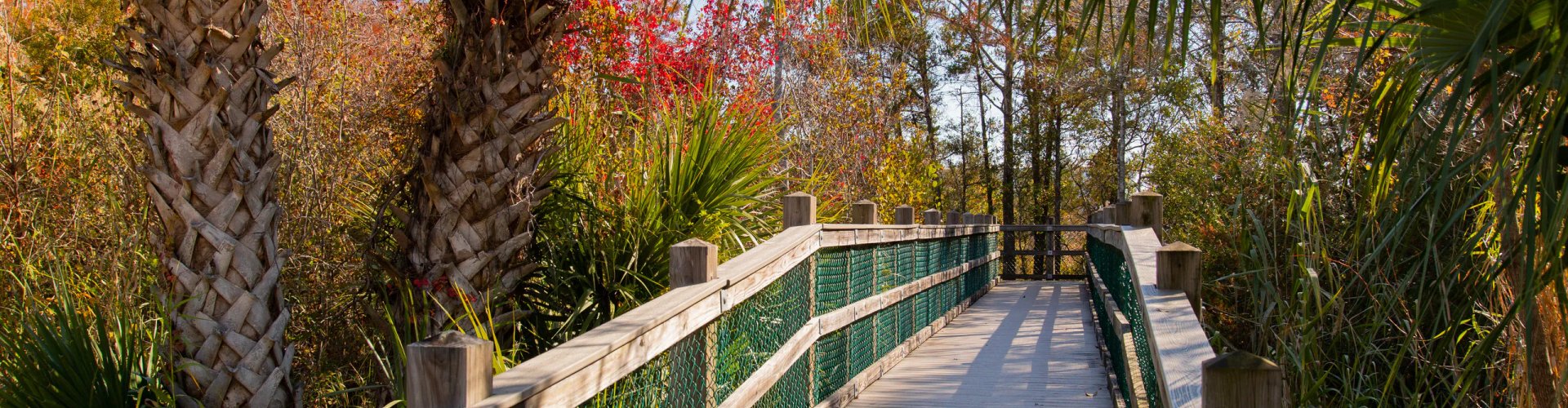 Niceville, FL, US cityscape