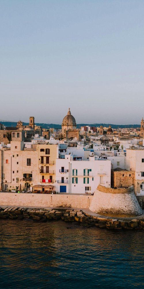 Monopoli, IT transport